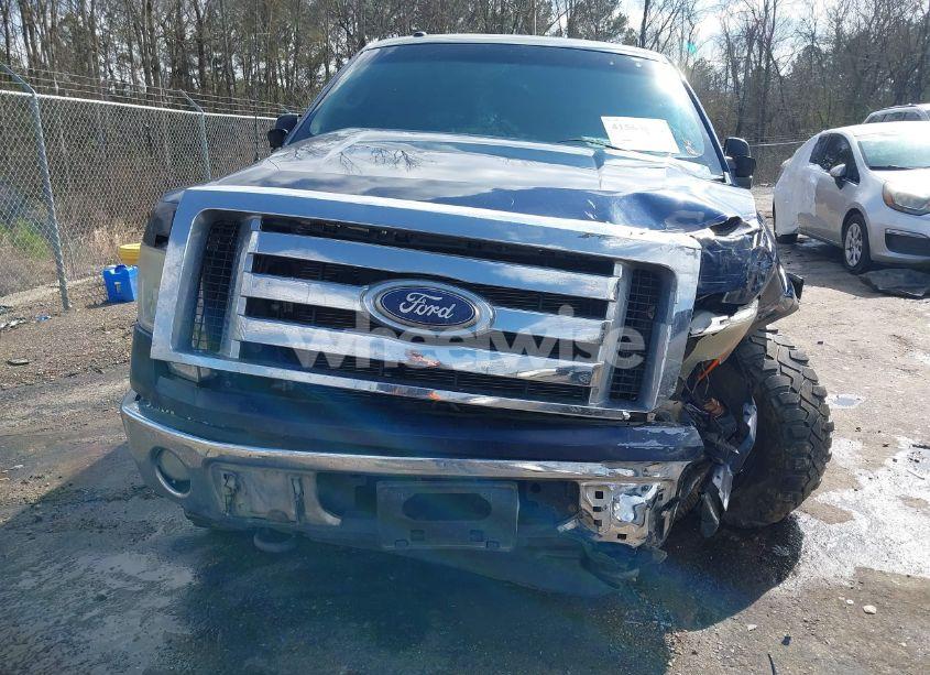 Photo 12 of 2010 Ford F-150 XL/XLT (VIN 1FTEW1E86AFA85532)