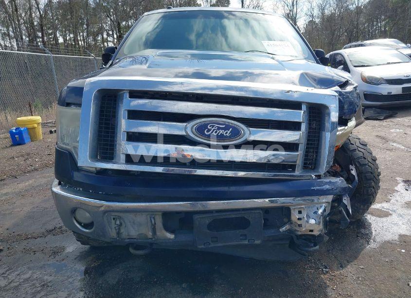 Photo 6 of 2010 Ford F-150 XL/XLT (VIN 1FTEW1E86AFA85532)