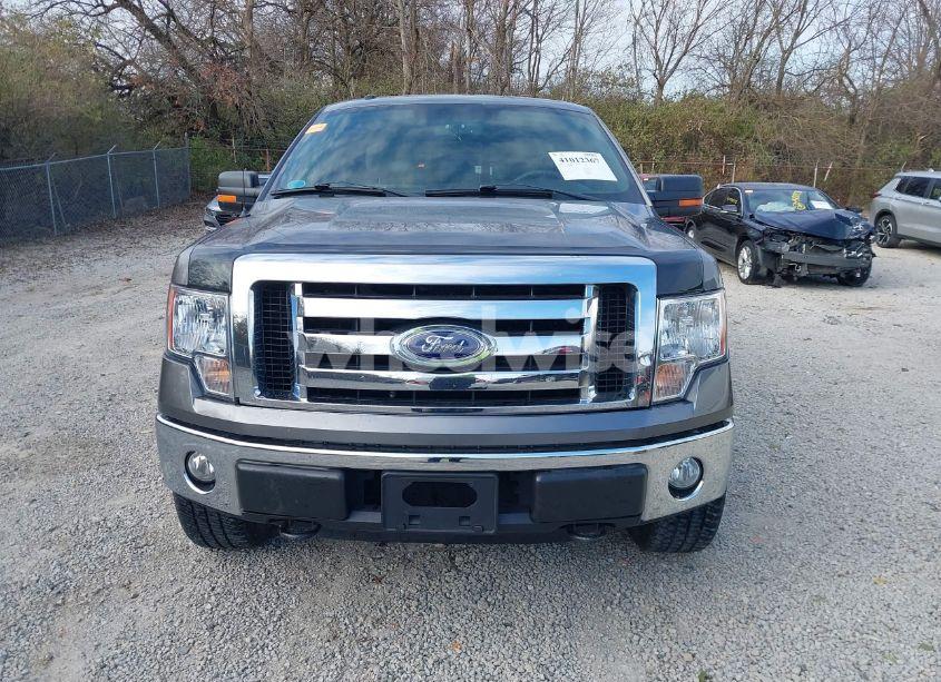 Photo 12 of 2010 Ford F-150 XL/XLT (VIN 1FTEW1E86AFD30703)