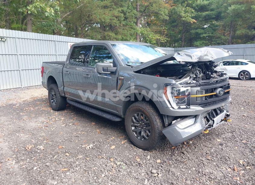 2021 Ford F-150 KING RANCH/LARIAT/LIMITED/PLATINUM/TREMOR/XL/XLT (VIN 1FTEW1E86MFC57742) main photo