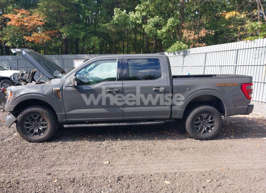 Photo 14 of 2021 Ford F-150 KING RANCH/LARIAT/LIMITED/PLATINUM/TREMOR/XL/XLT (VIN 1FTEW1E86MFC57742)