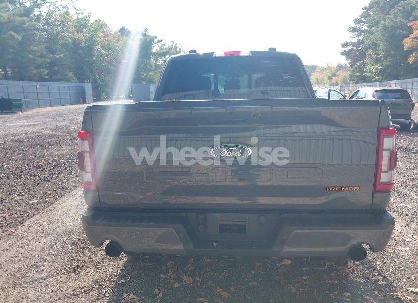 Photo 16 of 2021 Ford F-150 KING RANCH/LARIAT/LIMITED/PLATINUM/TREMOR/XL/XLT (VIN 1FTEW1E86MFC57742)