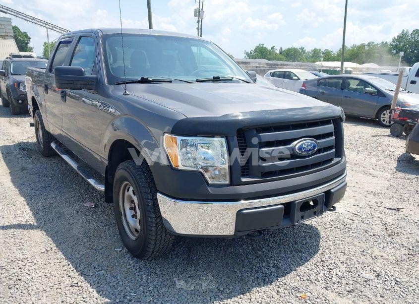 2010 Ford F-150 XL/XLT (VIN 1FTEW1E87AFD69672) main photo