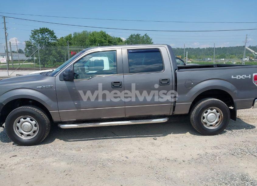 Photo 14 of 2010 Ford F-150 XL/XLT (VIN 1FTEW1E87AFD69672)
