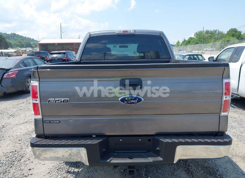 Photo 16 of 2010 Ford F-150 XL/XLT (VIN 1FTEW1E87AFD69672)