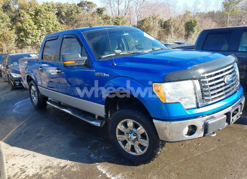 2010 Ford F-150 XL/XLT (VIN 1FTEW1E88AFD83452) main photo