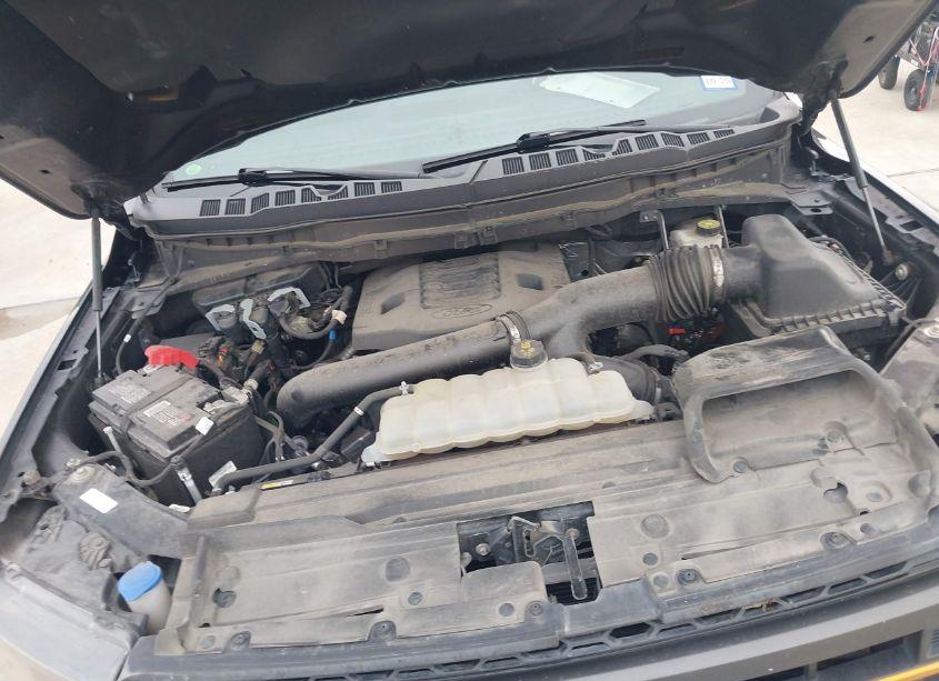 Photo 10 of 2021 Ford F-150 TREMOR (VIN 1FTEW1E88MFC87499)