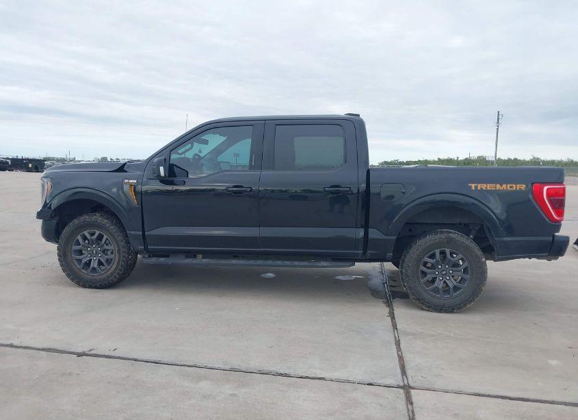 Photo 15 of 2021 Ford F-150 TREMOR (VIN 1FTEW1E88MFC87499)