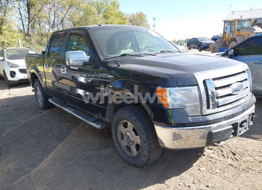 2010 Ford F-150 XLT (VIN 1FTEW1E89AFA19296) main photo