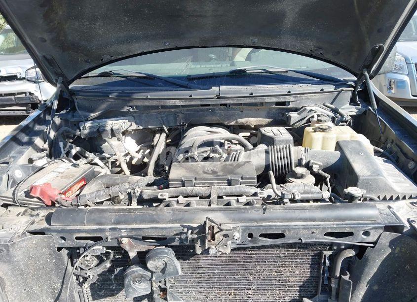 Photo 10 of 2010 Ford F-150 XLT (VIN 1FTEW1E89AFA19296)