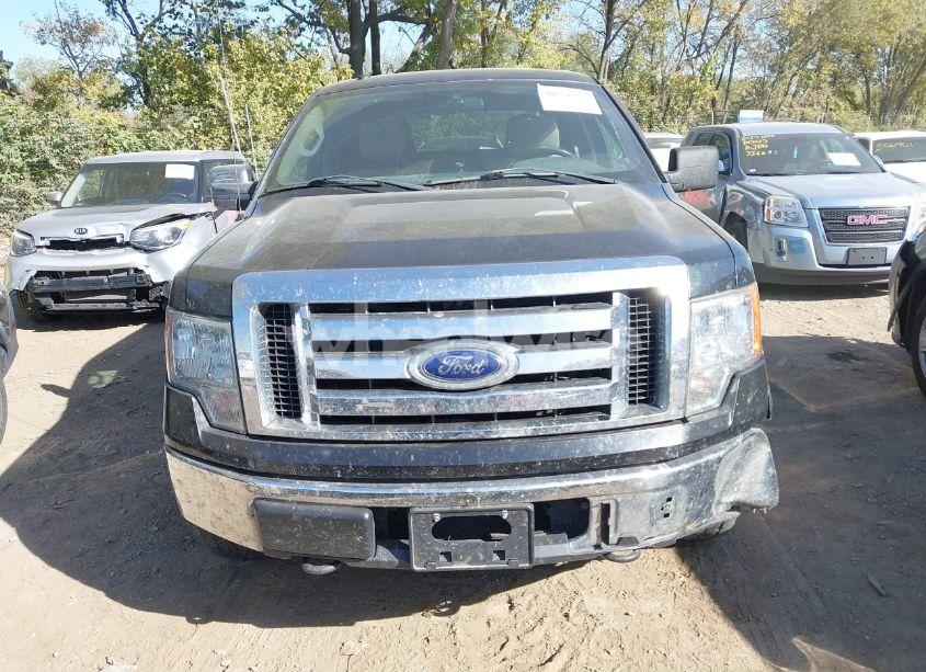 Photo 13 of 2010 Ford F-150 XLT (VIN 1FTEW1E89AFA19296)