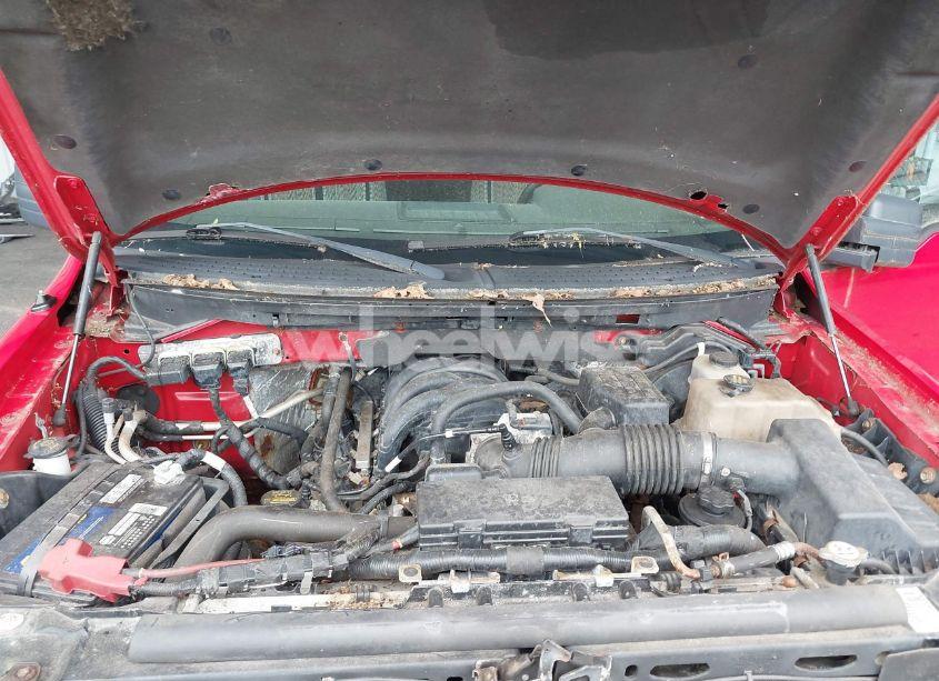 Photo 10 of 2010 Ford F-150 XL/XLT (VIN 1FTEW1E8XAFA60259)