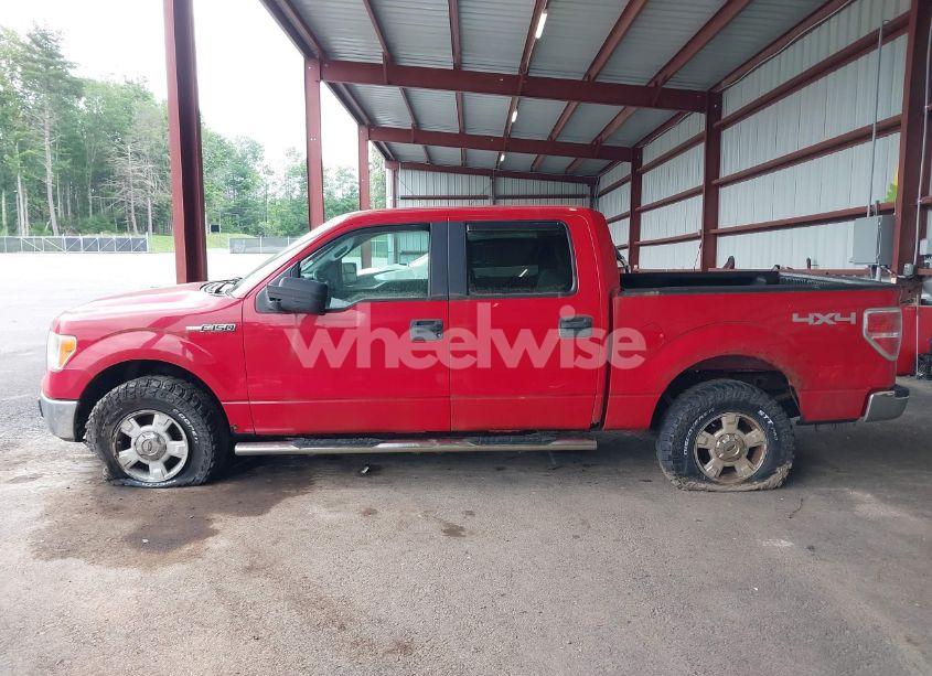 Photo 14 of 2010 Ford F-150 XL/XLT (VIN 1FTEW1E8XAFA60259)