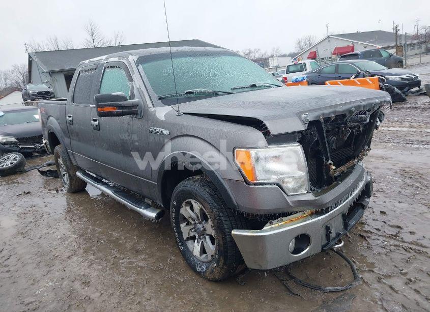 2010 Ford F-150 XL/XLT (VIN 1FTEW1E8XAFB85195) main photo