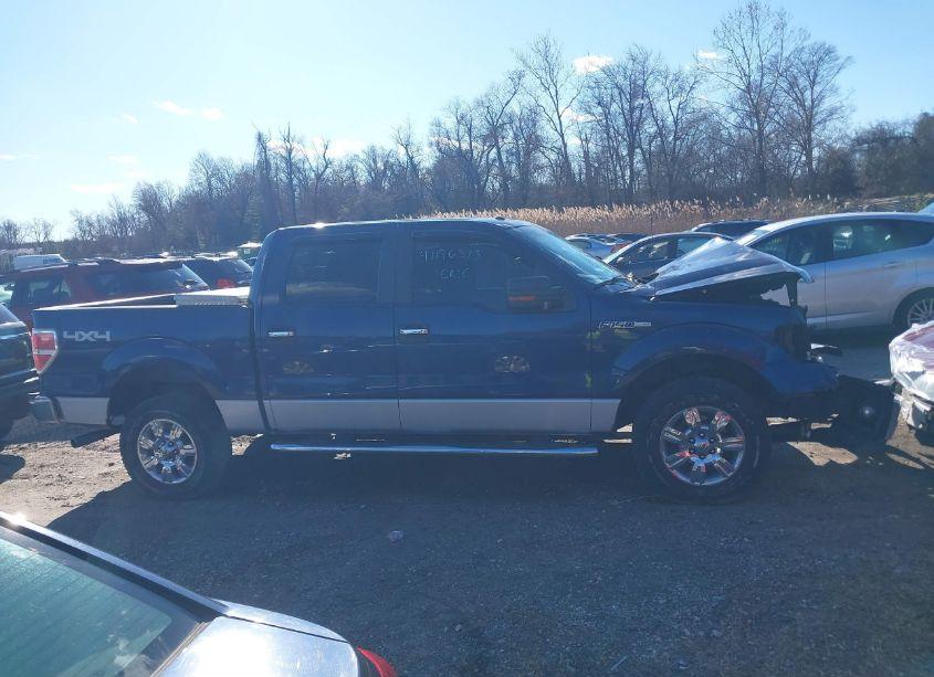 Photo 13 of 2010 Ford F-150 XL/XLT (VIN 1FTEW1E8XAFC95485)