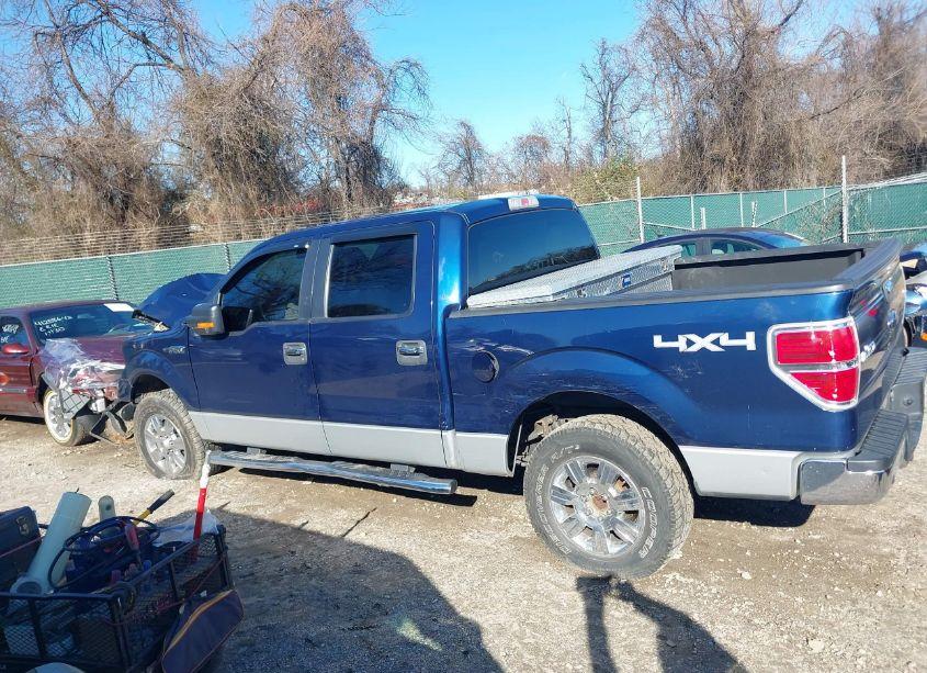 Photo 14 of 2010 Ford F-150 XL/XLT (VIN 1FTEW1E8XAFC95485)