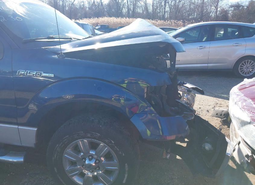 Photo 19 of 2010 Ford F-150 XL/XLT (VIN 1FTEW1E8XAFC95485)