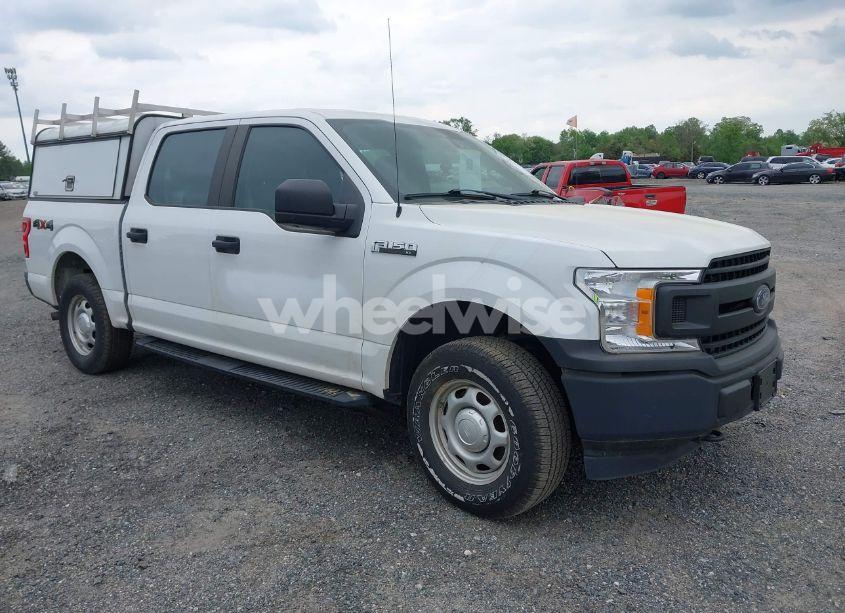 2019 Ford F-150 XL (VIN 1FTEW1EB0KFB01334) main photo