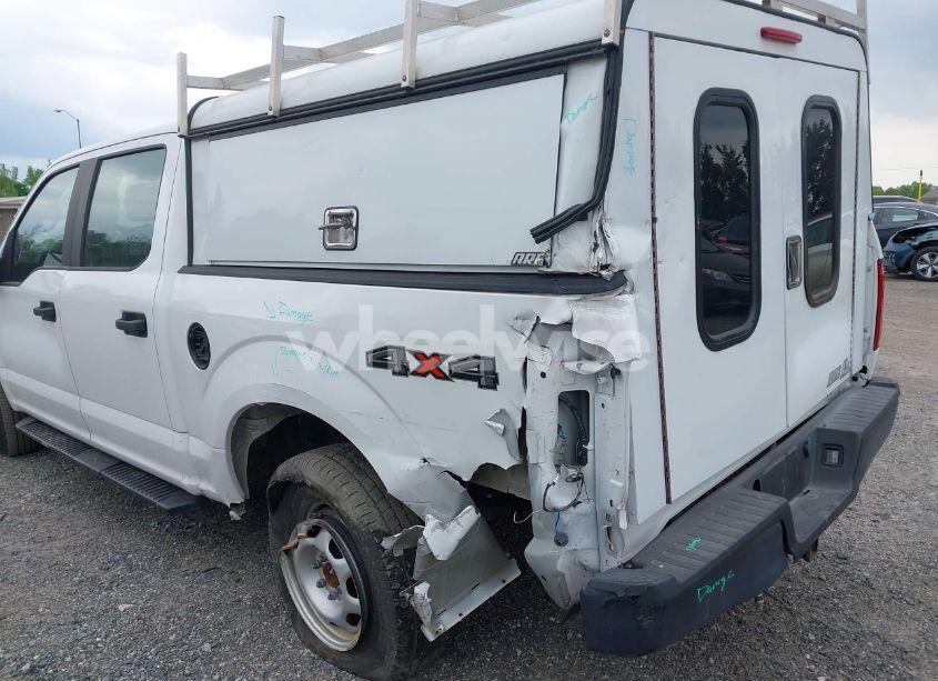 Photo 6 of 2019 Ford F-150 XL (VIN 1FTEW1EB0KFB01334)