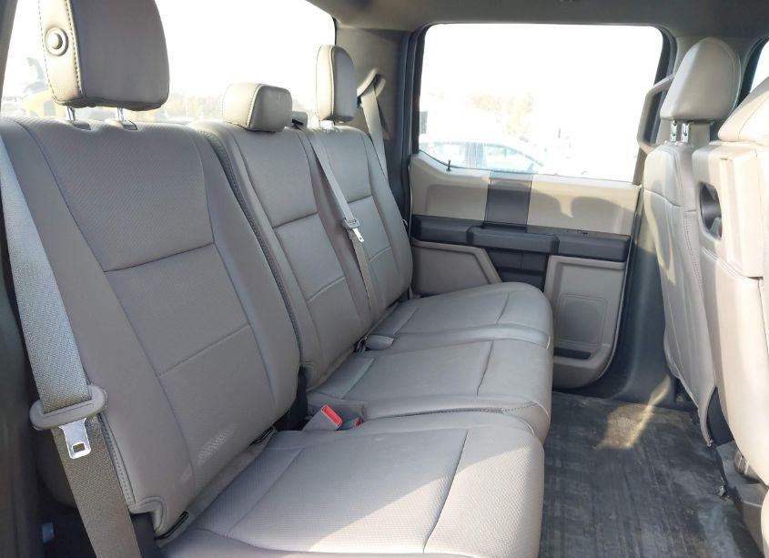 Photo 8 of 2019 Ford F-150 XL (VIN 1FTEW1EB9KFC65164)