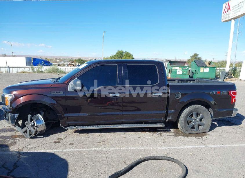 Photo 14 of 2019 Ford F-150 XLT (VIN 1FTEW1EBXKFA43975)
