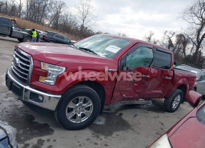 Photo 14 of 2015 Ford F-150 XLT (VIN 1FTEW1EF0FFC50707)