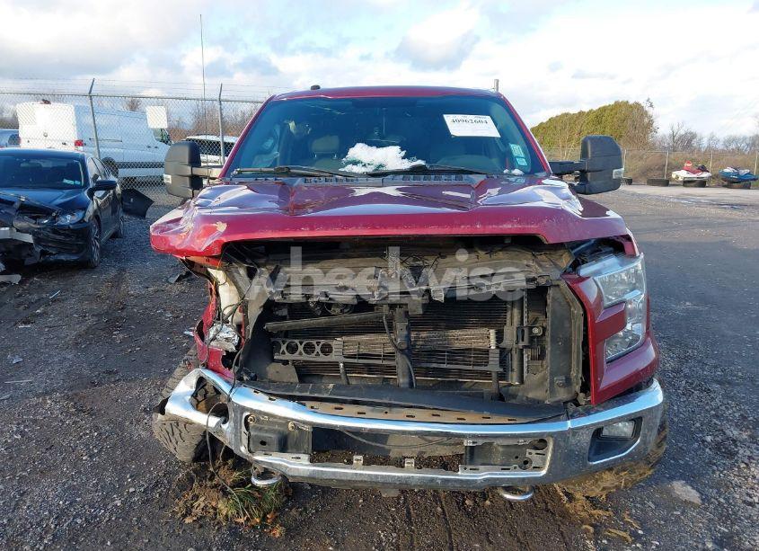 Photo 13 of 2016 Ford F-150 XLT (VIN 1FTEW1EF0GKD12583)