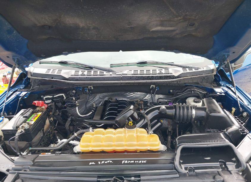 Photo 10 of 2015 Ford F-150 XLT (VIN 1FTEW1EF1FKD43128)