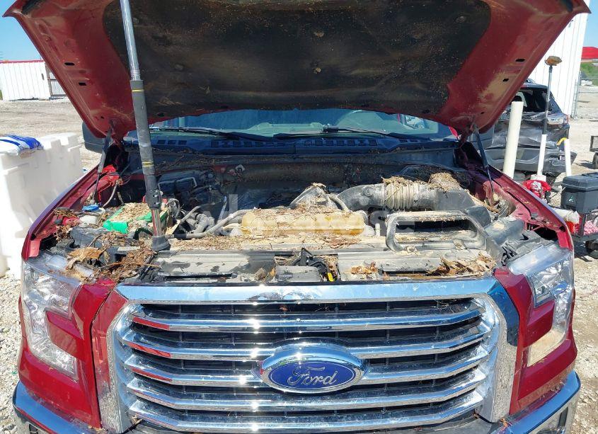 Photo 10 of 2015 Ford F-150 XLT (VIN 1FTEW1EF3FKD16139)