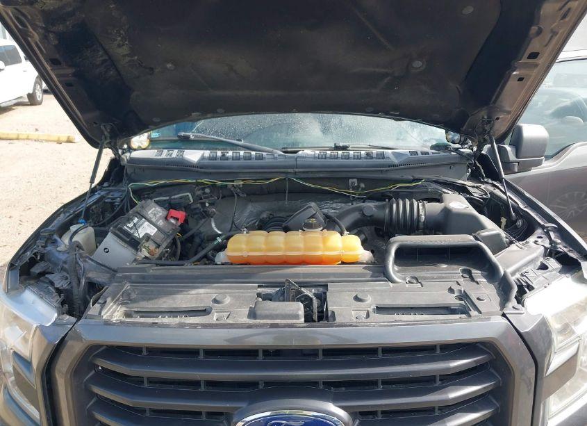 Photo 10 of 2016 Ford F-150 XLT (VIN 1FTEW1EF3GKE22768)