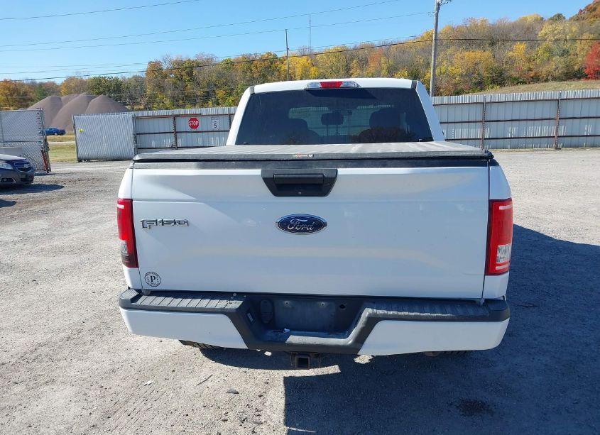 Photo 16 of 2017 Ford F-150 XL (VIN 1FTEW1EF3HKD09436)