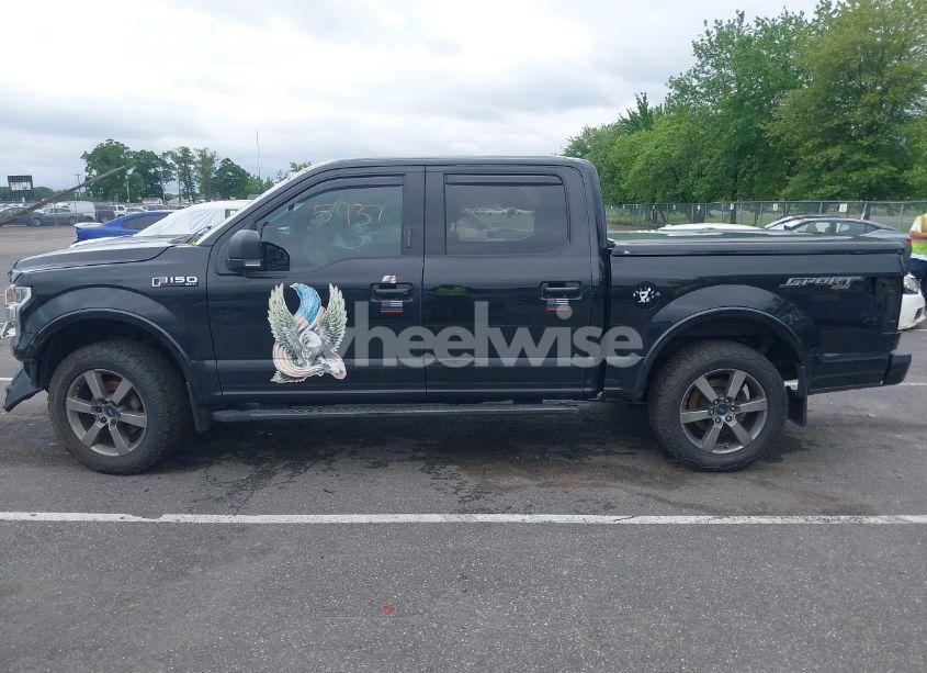 Photo 14 of 2015 Ford F-150 XLT (VIN 1FTEW1EF4FFC74038)