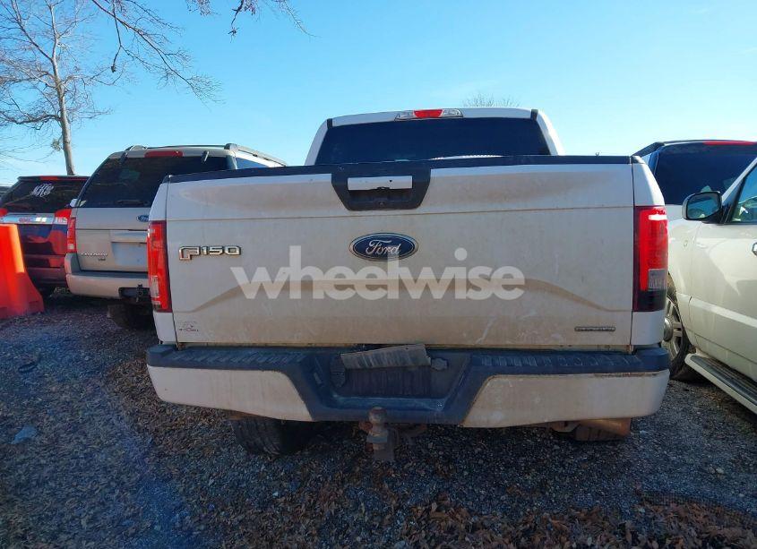 Photo 17 of 2015 Ford F-150 XLT (VIN 1FTEW1EF6FFB59960)