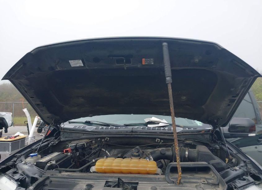 Photo 10 of 2015 Ford F-150 KING RANCH/LARIAT/PLATINUM/XL/XLT (VIN 1FTEW1EF7FFB25459)