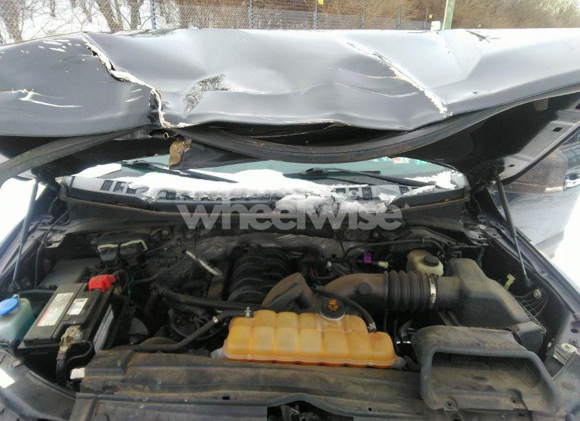 Photo 10 of 2015 Ford F-150 XLT (VIN 1FTEW1EF7FFC18000)