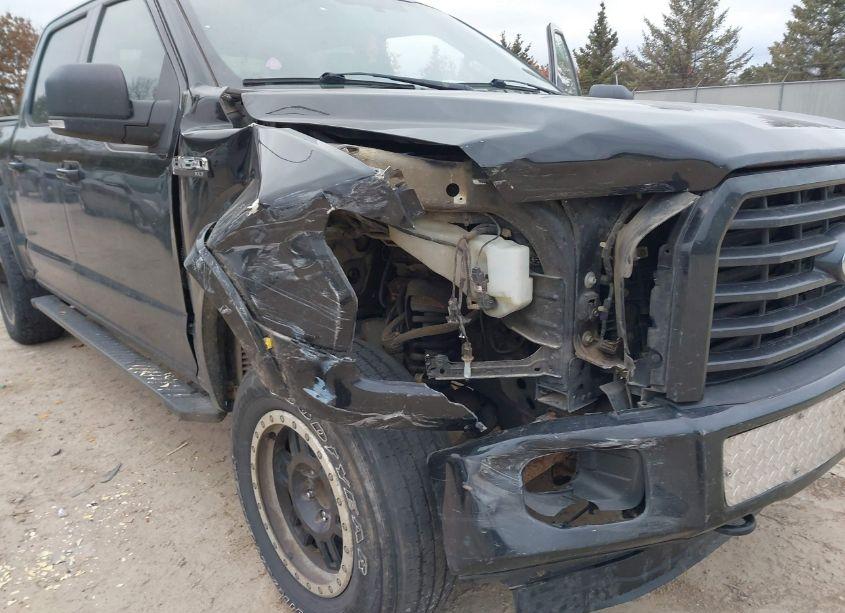 Photo 6 of 2015 Ford F-150 XLT (VIN 1FTEW1EF8FFA23264)