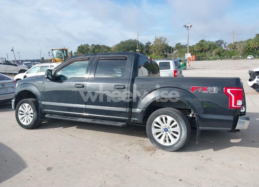 Photo 14 of 2015 Ford F-150 XLT (VIN 1FTEW1EF9FFA04304)