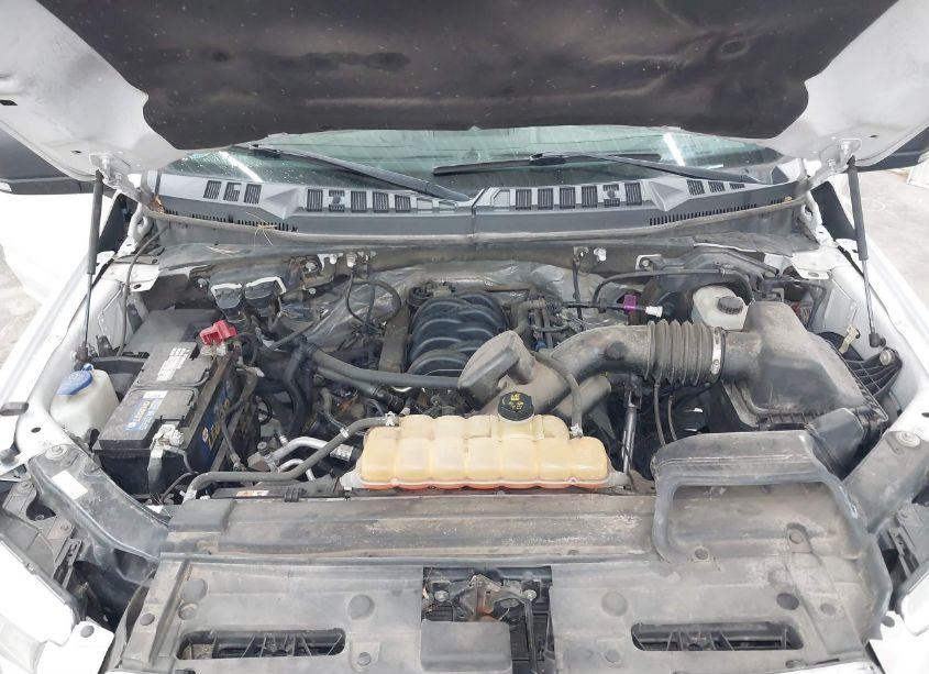 Photo 10 of 2017 Ford F-150 XLT (VIN 1FTEW1EF9HFC59828)