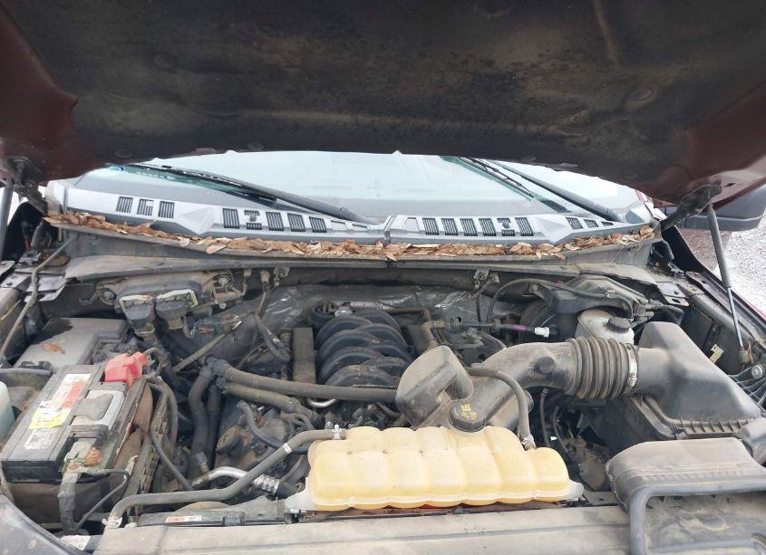 Photo 10 of 2017 Ford F-150 XLT (VIN 1FTEW1EF9HKD26659)