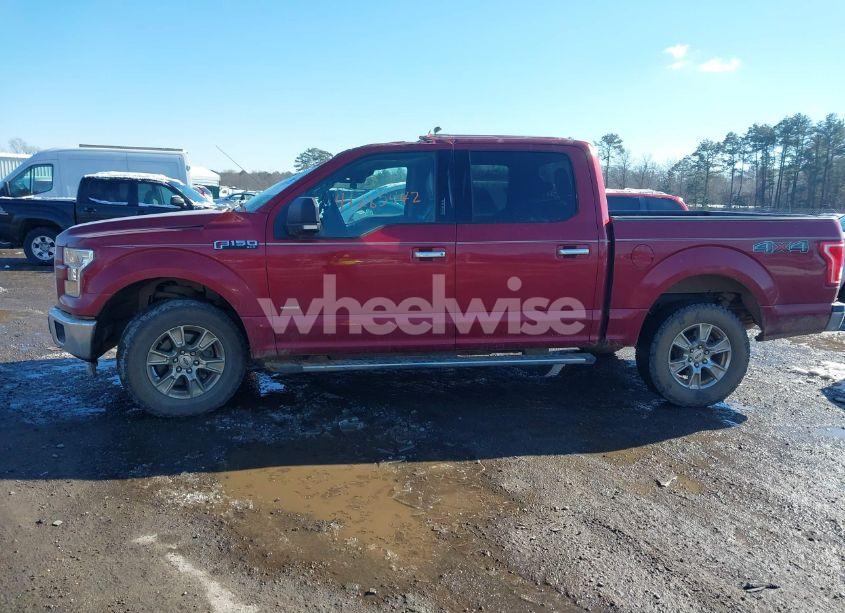 Photo 14 of 2015 Ford F-150 XLT (VIN 1FTEW1EG0FFC72151)