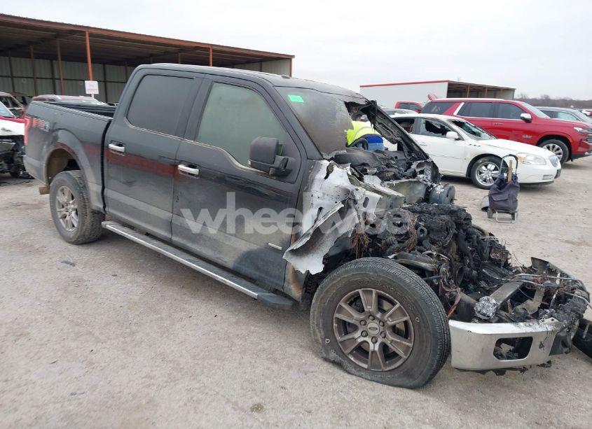 2015 Ford F-150 XLT (VIN 1FTEW1EG0FKE67898) main photo