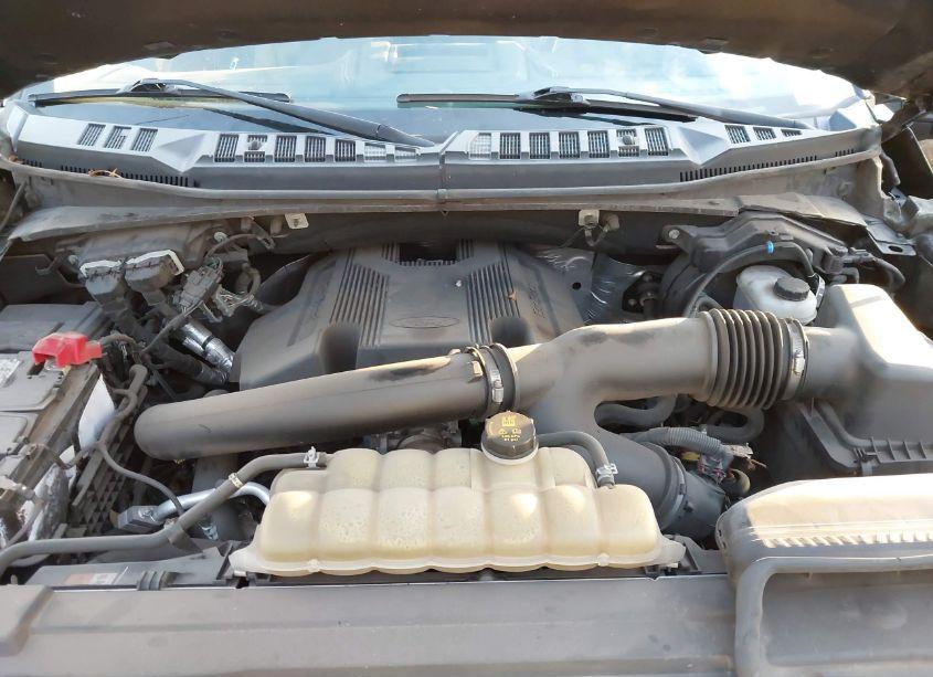 Photo 10 of 2019 Ford F-150 LIMITED (VIN 1FTEW1EG1KFB63417)