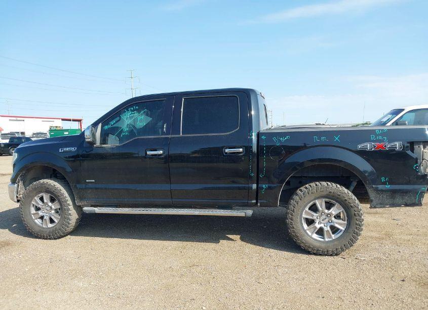 Photo 15 of 2016 Ford F-150 XLT (VIN 1FTEW1EG2GKF64747)