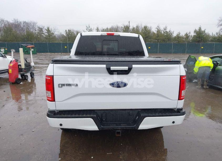 Photo 16 of 2015 Ford F-150 XLT (VIN 1FTEW1EG3FKE90432)