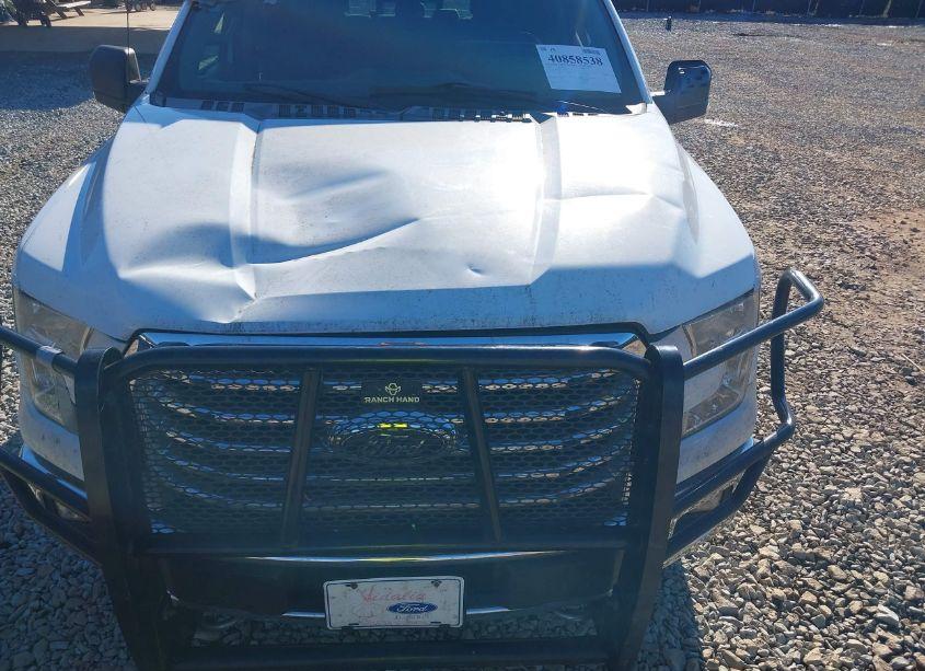 Photo 6 of 2016 Ford F-150 XLT (VIN 1FTEW1EG3GFC55264)