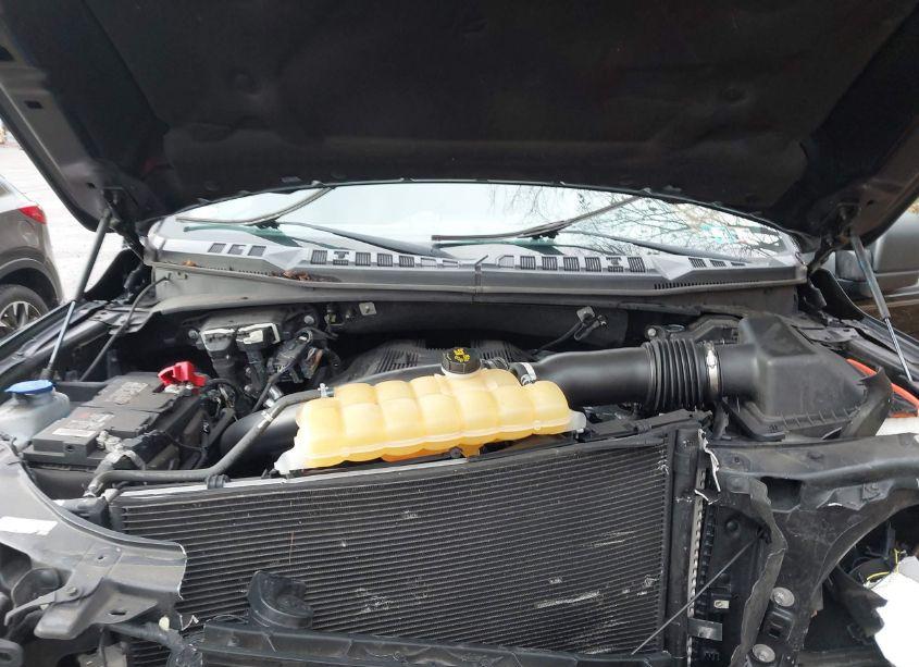 Photo 10 of 2018 Ford F-150 XLT (VIN 1FTEW1EG3JKC68031)