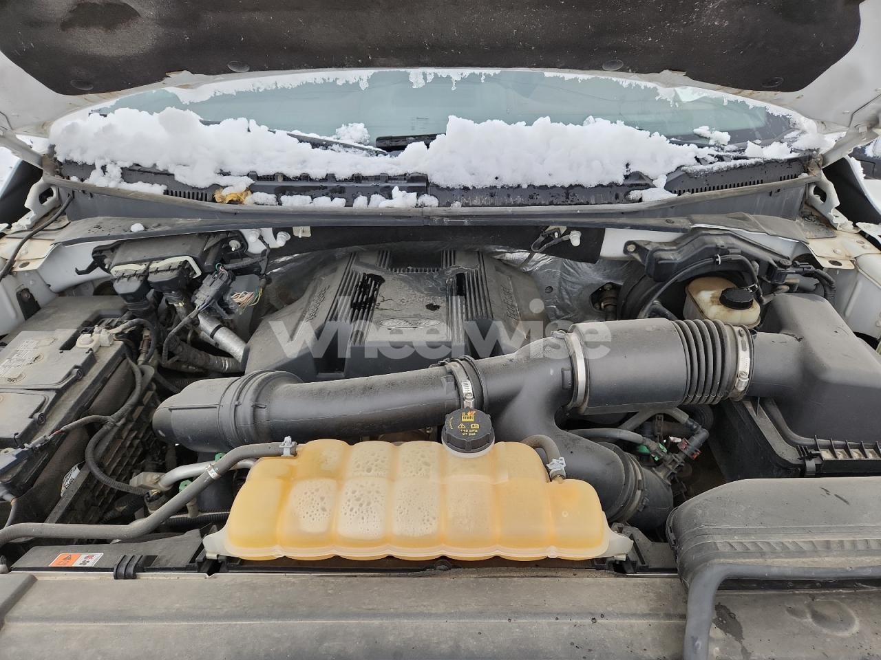 Photo 11 of 2017 FORD F150 SUPERCREW (VIN 1FTEW1EG6HFA37224)