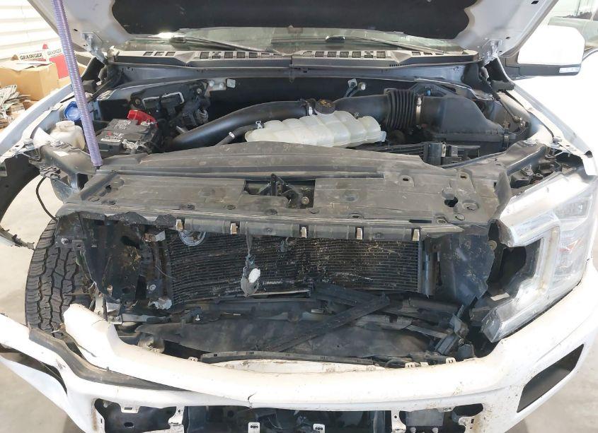 Photo 10 of 2019 Ford F-150 LIMITED (VIN 1FTEW1EG6KFC96061)