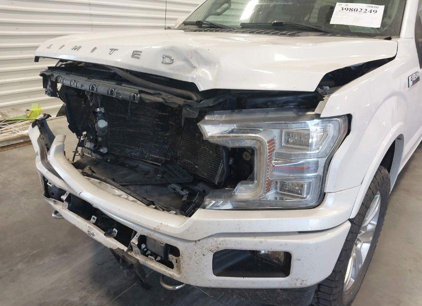 Photo 17 of 2019 Ford F-150 LIMITED (VIN 1FTEW1EG6KFC96061)