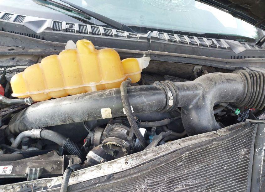 Photo 10 of 2015 Ford F-150 XLT (VIN 1FTEW1EG8FFA68925)